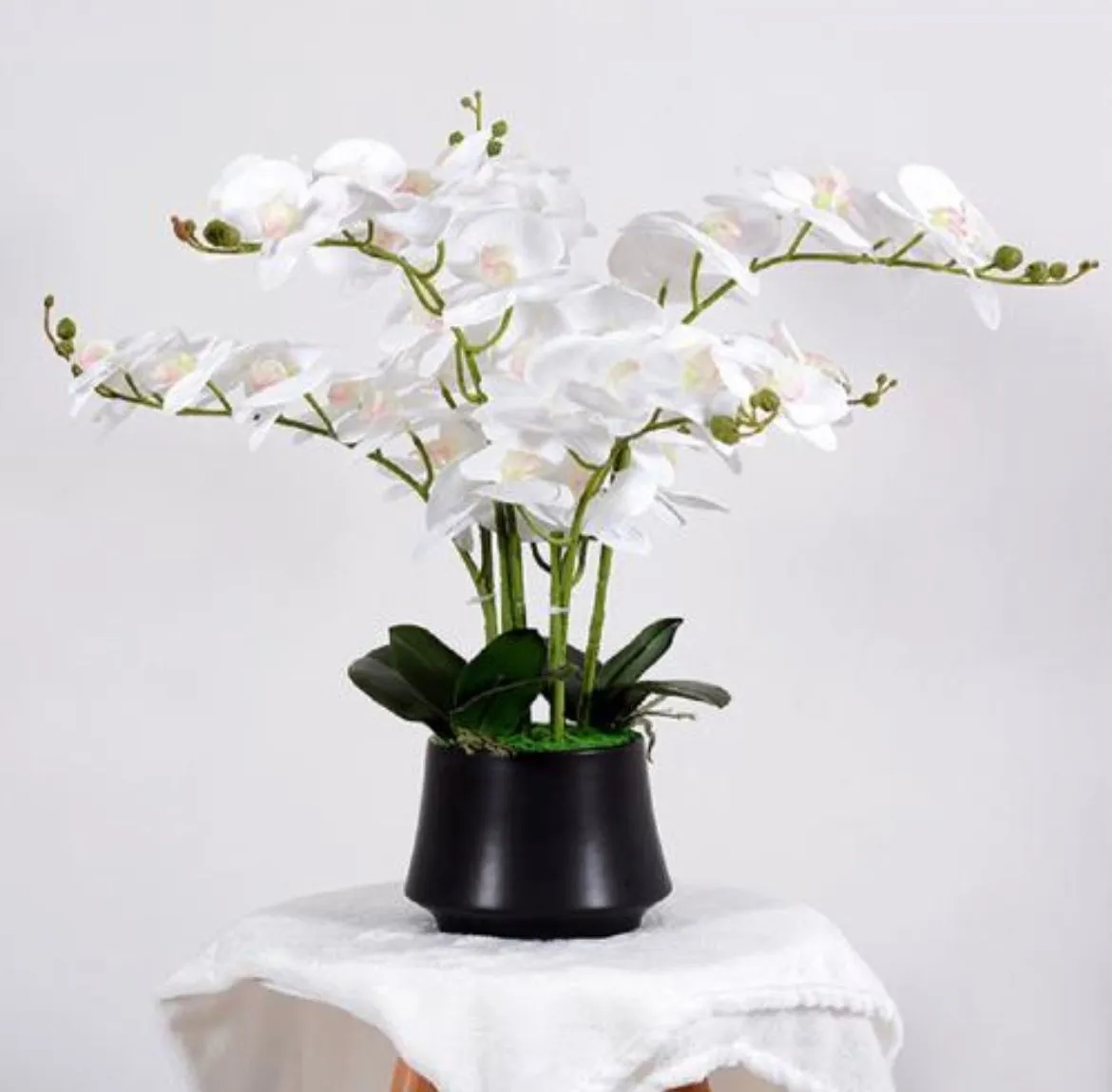 Artificial Orchid with Black Vase- White