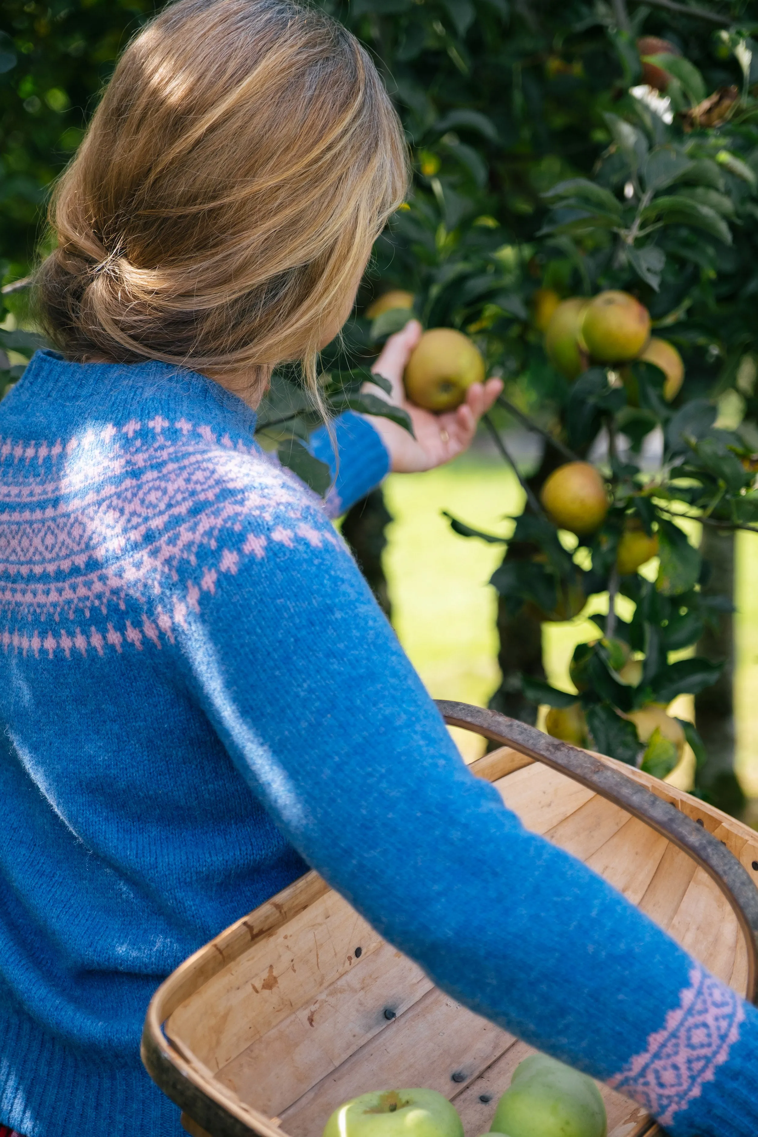 Fairisle Jumper in Blue and Pink