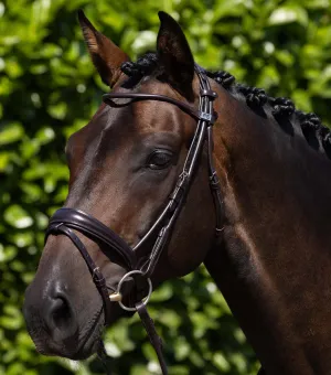 Finetti Rolled Leather Snaffle Bridle Brown