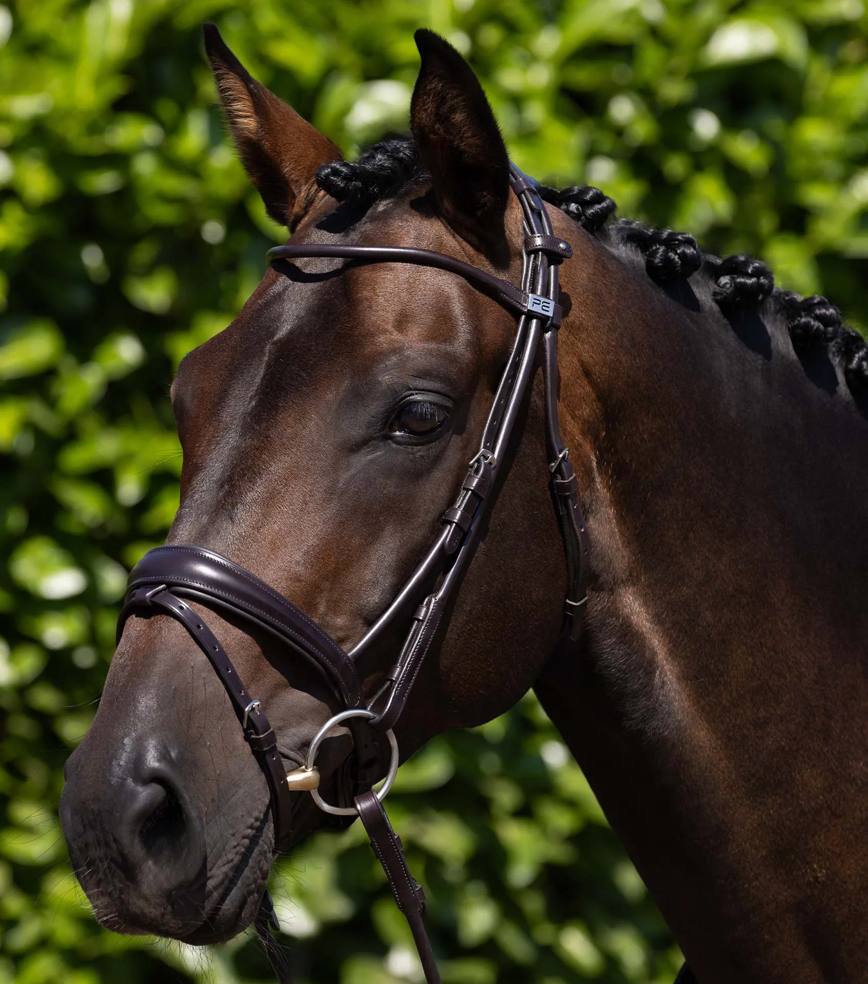 Finetti Rolled Leather Snaffle Bridle Brown