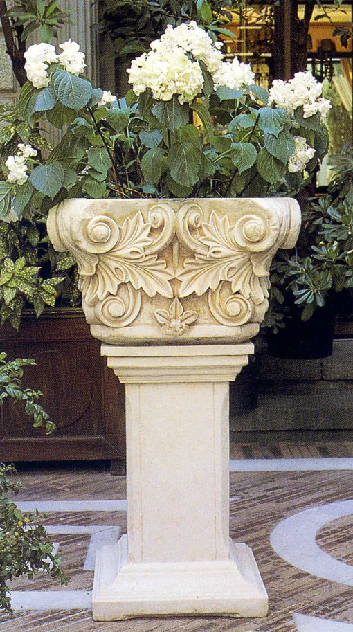 Greek Corinthian Capital