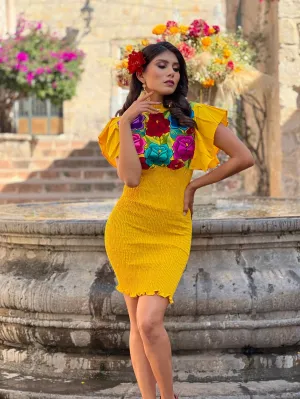 Tania Mexican Stretchable Dress